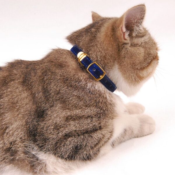 Pet supplies cat collar - Image 4